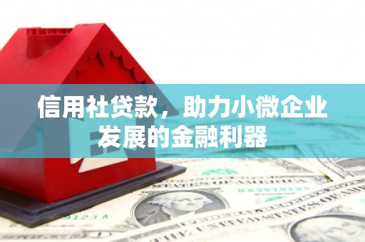 大埔信用社贷款，助力小微企业发展的金融利器