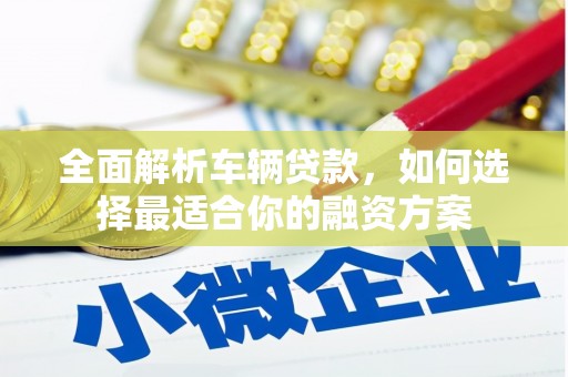 大埔全面解析车辆贷款，如何选择最适合你的融资方案