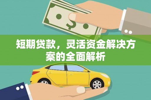 大埔短期贷款，灵活资金解决方案的全面解析