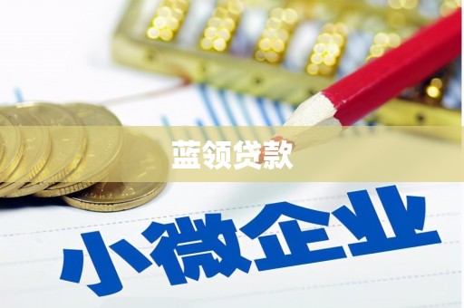 大埔蓝领贷款