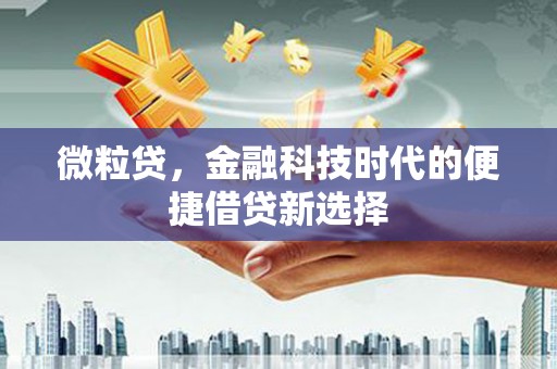大埔微粒贷，金融科技时代的便捷借贷新选择
