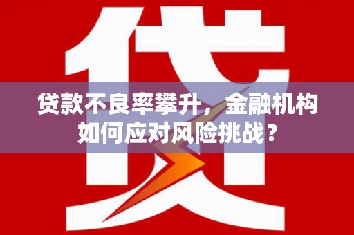 大埔贷款不良率攀升，金融机构如何应对风险挑战？
