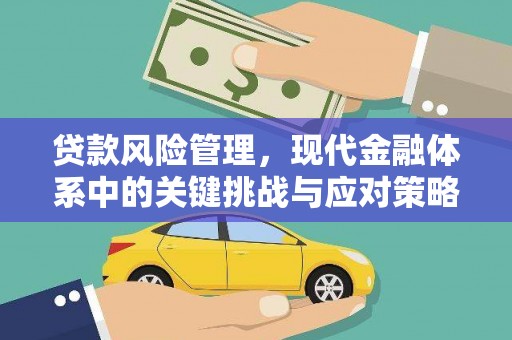 大埔贷款风险管理，现代金融体系中的关键挑战与应对策略