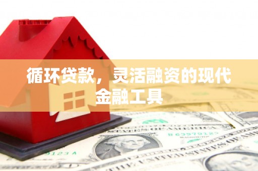 大埔循环贷款，灵活融资的现代金融工具