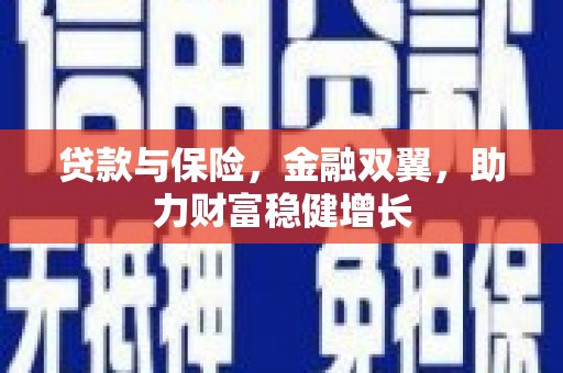 大埔贷款与保险，金融双翼，助力财富稳健增长