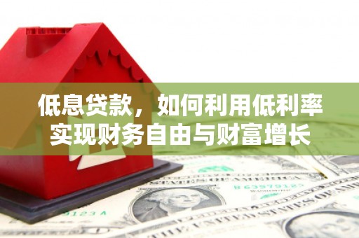 大埔低息贷款，如何利用低利率实现财务自由与财富增长